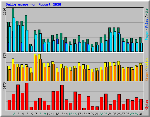 Daily usage for August 2020