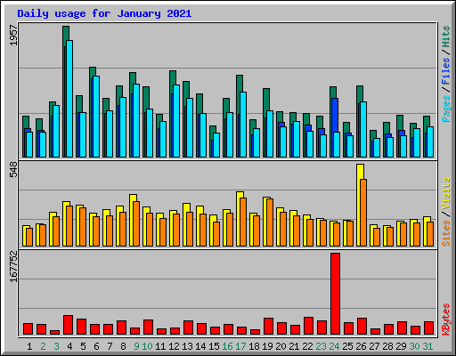 Daily usage for January 2021