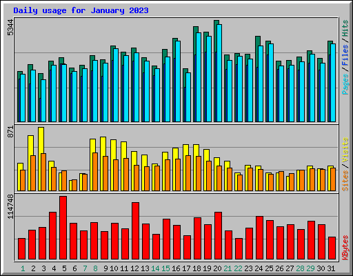 Daily usage for January 2023