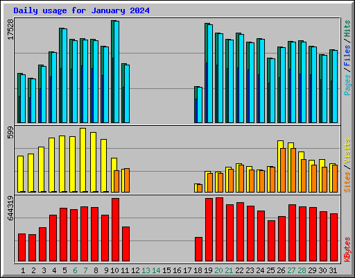 Daily usage for January 2024