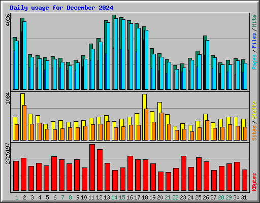 Daily usage for December 2024