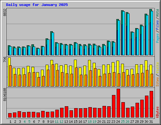 Daily usage for January 2025
