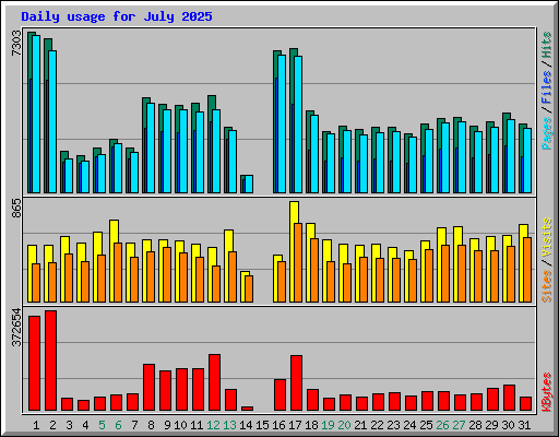 Daily usage for July 2025