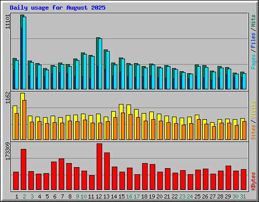 Daily usage for August 2025