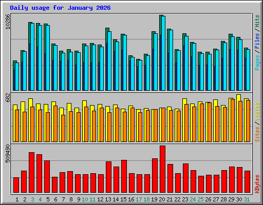 Daily usage for January 2026