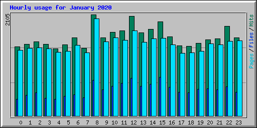 Hourly usage for January 2020