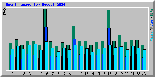 Hourly usage for August 2020