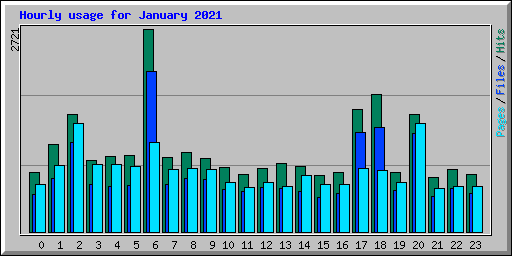 Hourly usage for January 2021