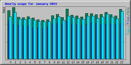 Hourly usage for January 2023