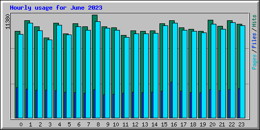 Hourly usage for June 2023