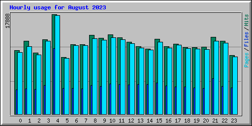 Hourly usage for August 2023