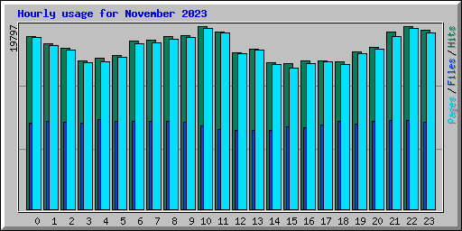 Hourly usage for November 2023