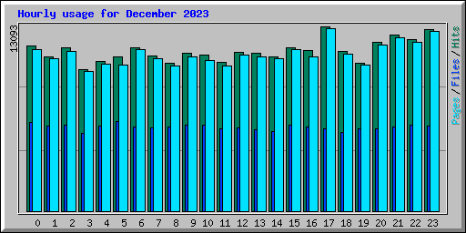 Hourly usage for December 2023