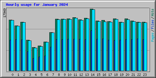 Hourly usage for January 2024