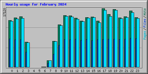 Hourly usage for February 2024