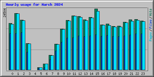Hourly usage for March 2024