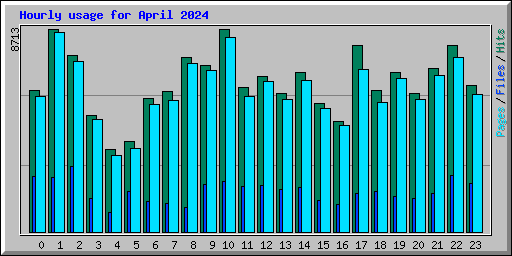 Hourly usage for April 2024