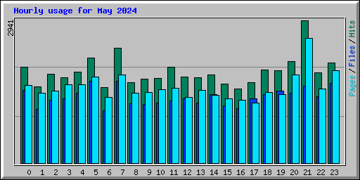 Hourly usage for May 2024