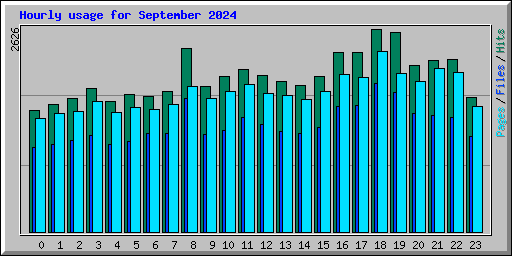 Hourly usage for September 2024