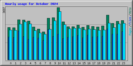 Hourly usage for October 2024
