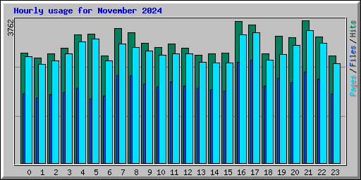 Hourly usage for November 2024