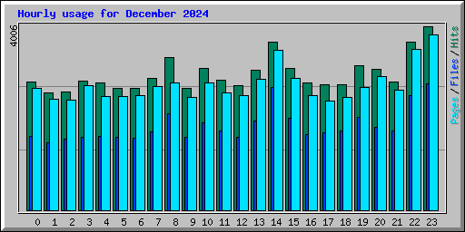 Hourly usage for December 2024