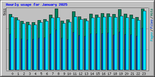 Hourly usage for January 2025
