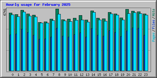 Hourly usage for February 2025
