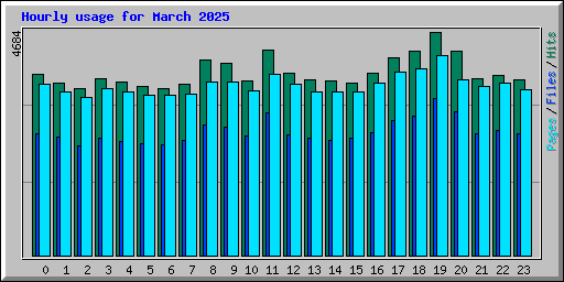 Hourly usage for March 2025
