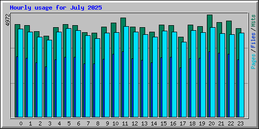 Hourly usage for July 2025