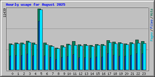 Hourly usage for August 2025