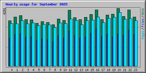 Hourly usage for September 2025