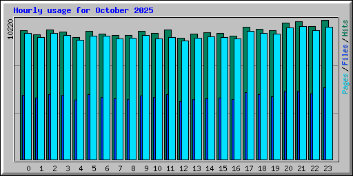 Hourly usage for October 2025