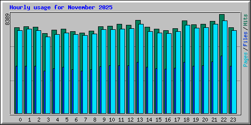 Hourly usage for November 2025