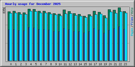 Hourly usage for December 2025