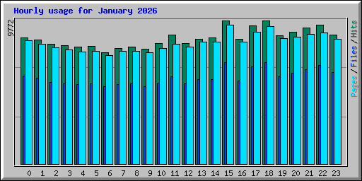 Hourly usage for January 2026