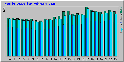 Hourly usage for February 2026