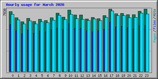 Hourly usage for March 2026