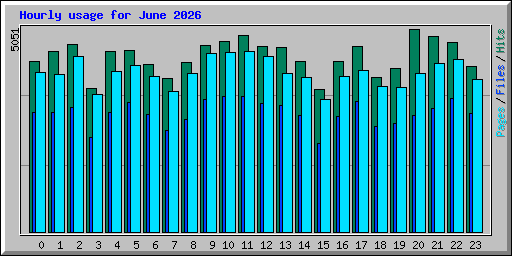 Hourly usage for June 2026