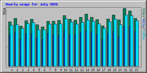 Hourly usage for July 2026